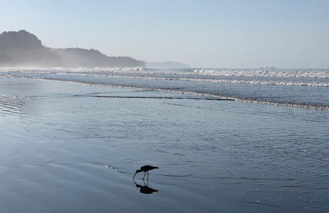 Morning Glory - Foto 78