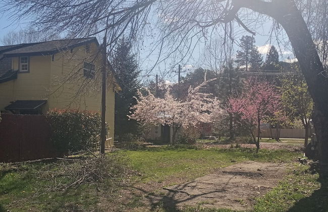 Bigfoot RV & Cabins Park - Foto 42