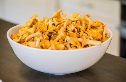 Zezuj Agroturystyka i Łowisko - Photo 30