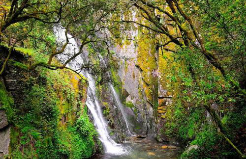 Villa Montês - Exclusive Apartments & Prime Location - Foto 8