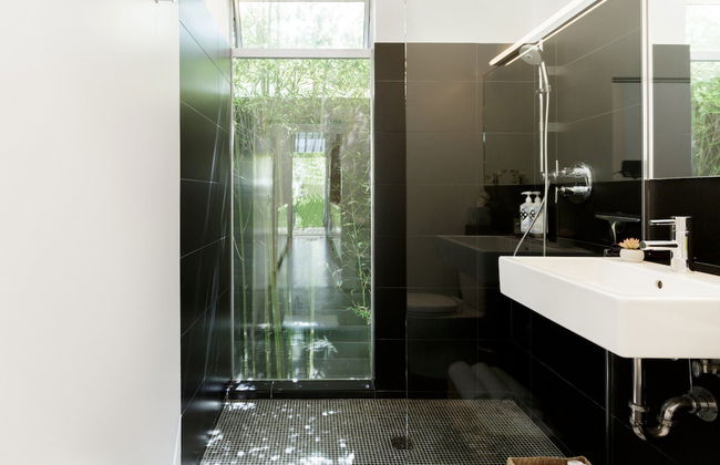 Cactus Flower - Foto 27