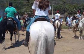 Studio Arte e Natureza - Photo 7