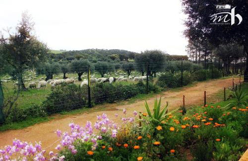 Monte do Mato dos Homens - Foto 72