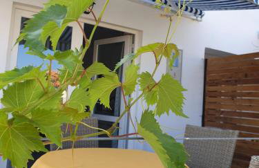 Apartments Paradiso Murter - Photo 13