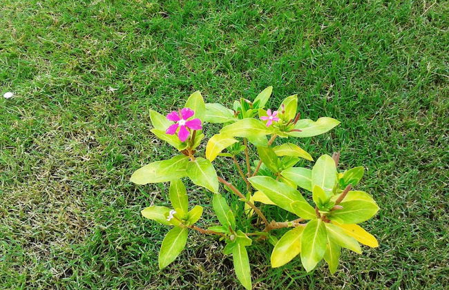 Lighthouse Nadia Aparts - Foto 64