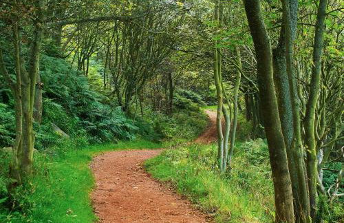 The Yorkshireman - Foto 21