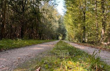 Brzozowy Zakątek - Foto 22