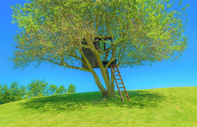 Villa Il Castagno - Photo 20