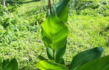 Studio apartman CENTAR - Foto 44