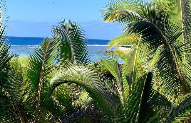 Rarotonga Villas - Foto 76