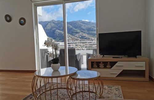 Pico Barcelos - Funchal - Foto 2