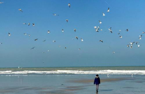 La Falaise Bleue - Vue mer - Plage à pied - Foto 61