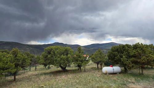 Milner Retreat - Photo 2