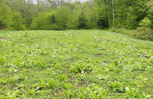 Wandering Trails Retreat - Foto 34