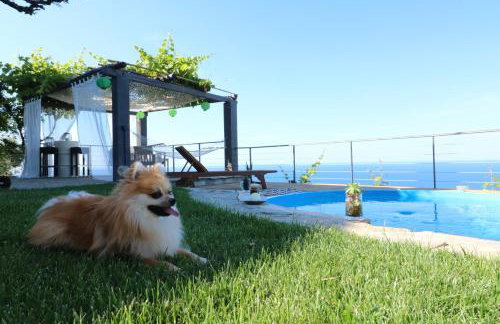 Fakistra's Blue House - Foto 18