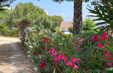 Villa Giens - Plage à pied -9 couchages - Foto 62