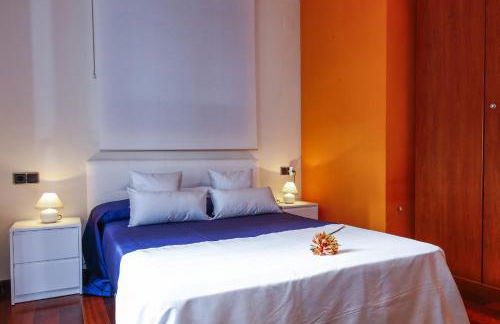 Gira-sol Planetcostadorada - Foto 7