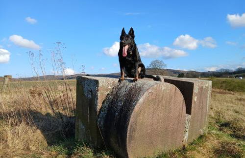 Zum Symposion - Foto 18