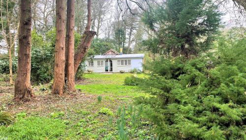 Wodehouse - Foto 3, Garden view