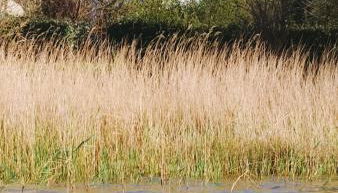 La Casita de la bahía - Foto 2