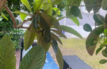 Casa Elisa 10 B - Foto 4