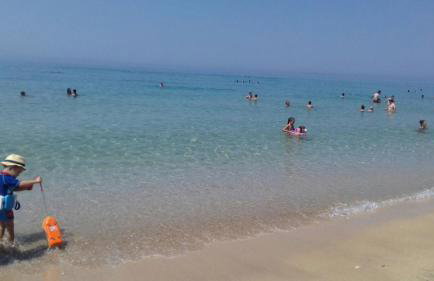 LEMONELIA, one big,4-5 people and one small apartment ,2-3 people - Foto 25