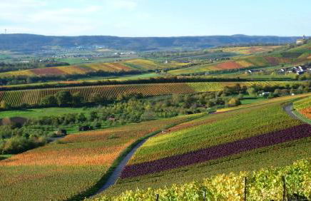 Villa in Seenahe Badesee Ehmetsklinge - Foto 24