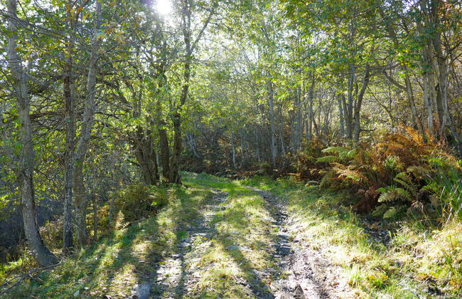 Rustico Andrea - Foto 30