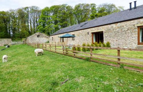 Poppy Cottage - Foto 11