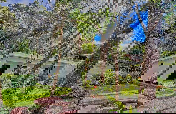 Monteverde Magic Mountain - Foto 1