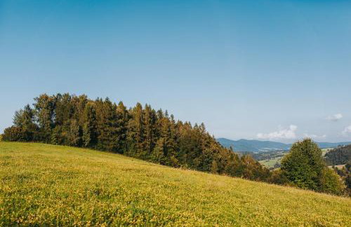 Pasieka - Dom Wypoczynkowy - Foto 37