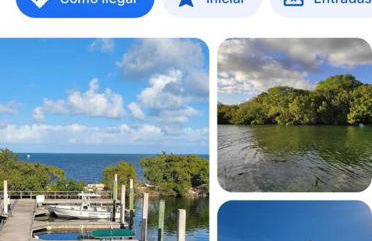 Bienvenidos a la Pequeña Selva de Legnalife - Foto 40