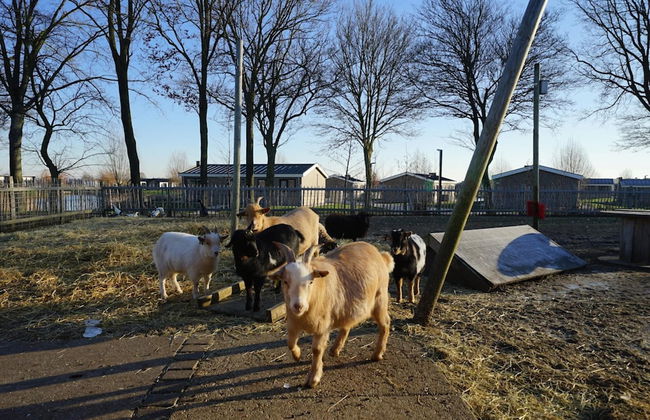 2 bedroom House in Kampen with terrace - Photo 31