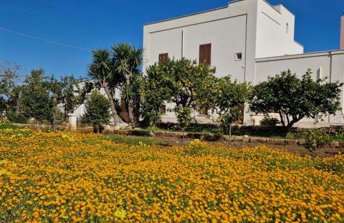 Residenza "I Tre Carrubi " - Foto 44