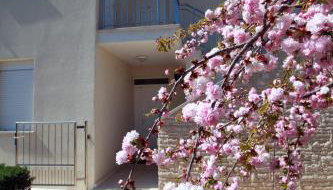 Apartments Sea View Kozino - Foto 5, Garden view