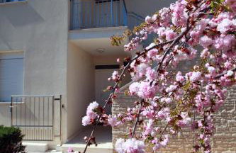 Apartments Sea View Kozino - Foto 5