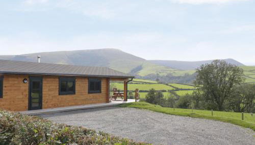 Bryn Eiddon Log Cabin - Photo 4