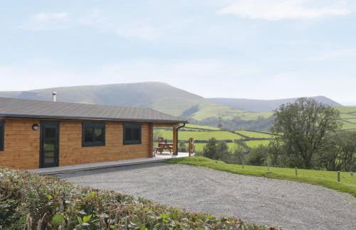 Bryn Eiddon Log Cabin - Photo 4