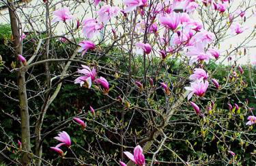 Ferienwohnungen Schrot - Foto 7