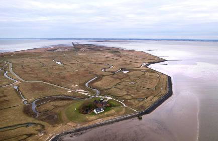 Gästehaus Neuwarft - Foto 41