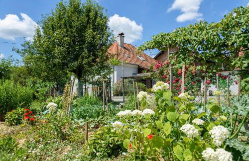 Apartment Mia - Foto 40