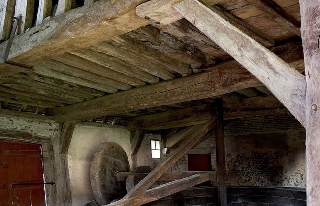 Château de Bonnemare - Foto 21