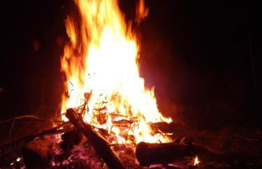 Golden Treasure Deluxe - Foto 35