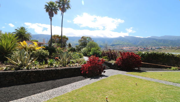 Apartamentos Miranda - Foto 5