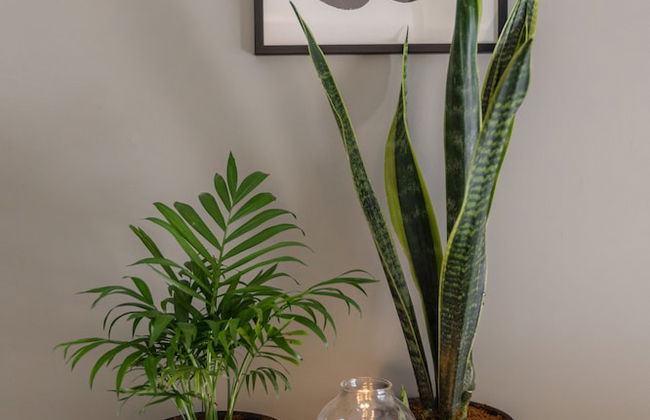 DeBlox living - Alhambra Apartments - Foto 62