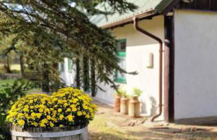 Kłodnia 1 - Foto 20