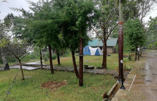 Lourdes Eco Bungalow - Photo 30