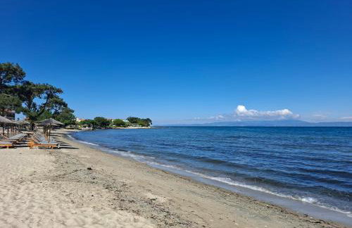 Studio Lazaridi - Photo 20