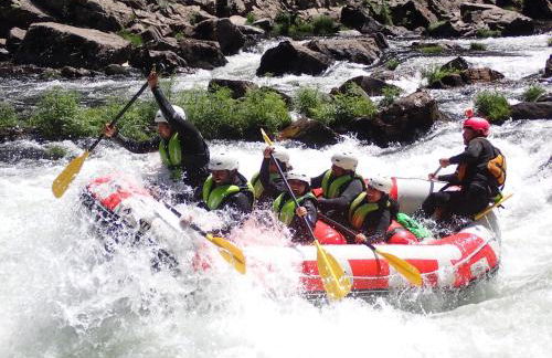 Quinta do Passal - Foto 66