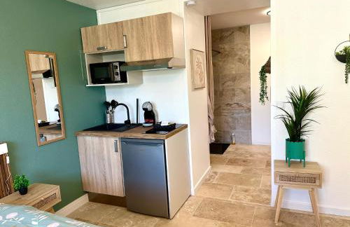 Les Appartements du Mas - Studio Amazonite - Foto 5